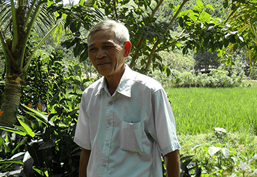 Bamboo farmer